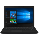 Acer Travel mate p2-259